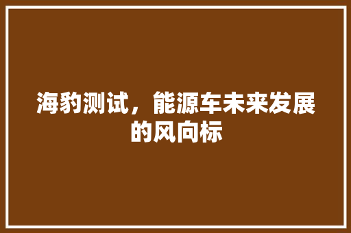 海豹测试，能源车未来发展的风向标