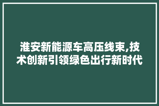 淮安新能源车高压线束,技术创新引领绿色出行新时代
