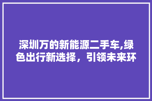 深圳万的新能源二手车,绿色出行新选择，引领未来环保潮流