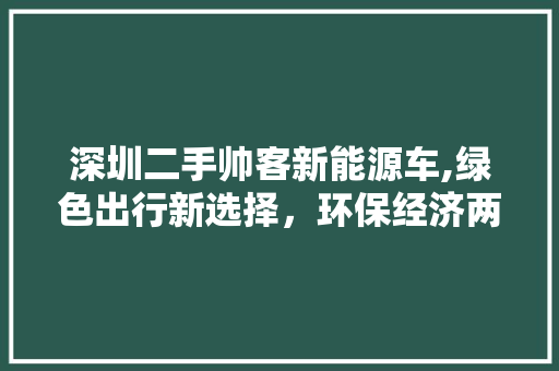 深圳二手帅客新能源车,绿色出行新选择，环保经济两不误