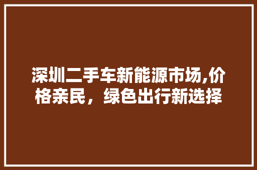 深圳二手车新能源市场,价格亲民，绿色出行新选择