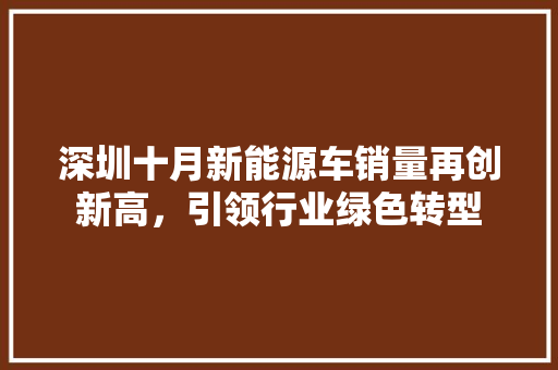 深圳十月新能源车销量再创新高，引领行业绿色转型
