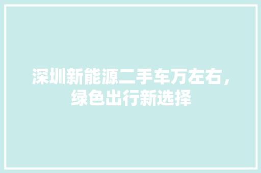 深圳新能源二手车万左右，绿色出行新选择