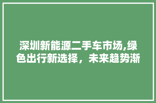 深圳新能源二手车市场,绿色出行新选择，未来趋势渐显