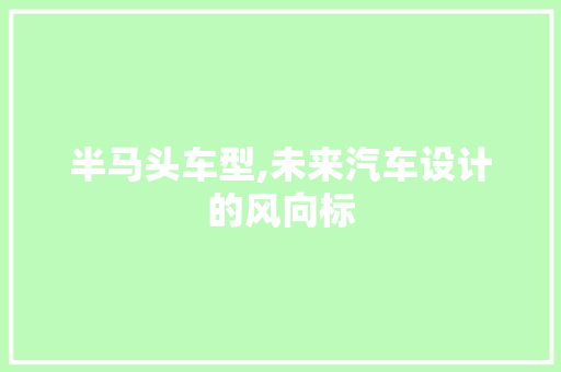 半马头车型,未来汽车设计的风向标