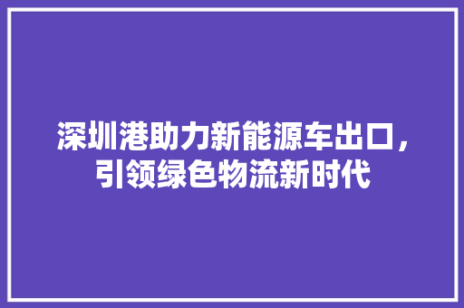 深圳港助力新能源车出口，引领绿色物流新时代