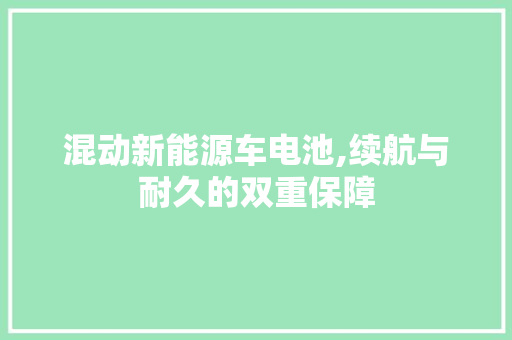 混动新能源车电池,续航与耐久的双重保障
