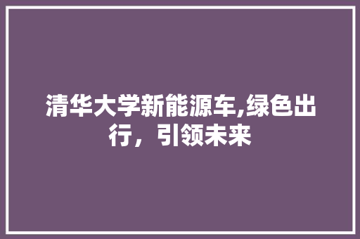 清华大学新能源车,绿色出行，引领未来