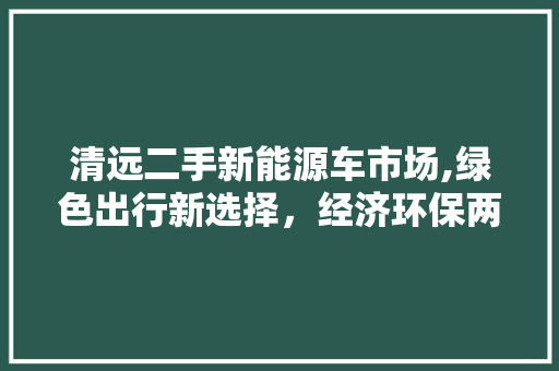 清远二手新能源车市场,绿色出行新选择，经济环保两不误