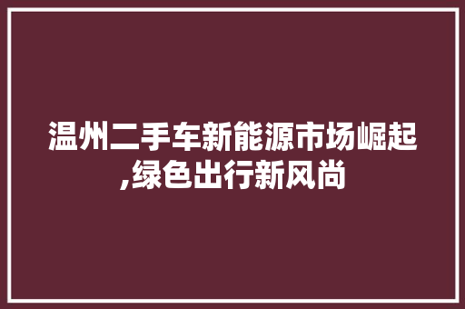 温州二手车新能源市场崛起,绿色出行新风尚