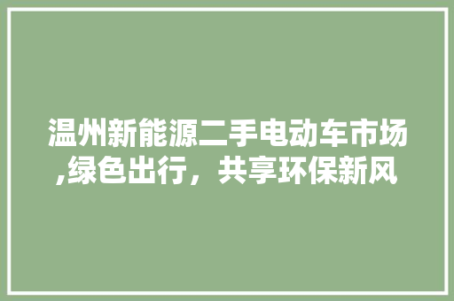 温州新能源二手电动车市场,绿色出行，共享环保新风尚