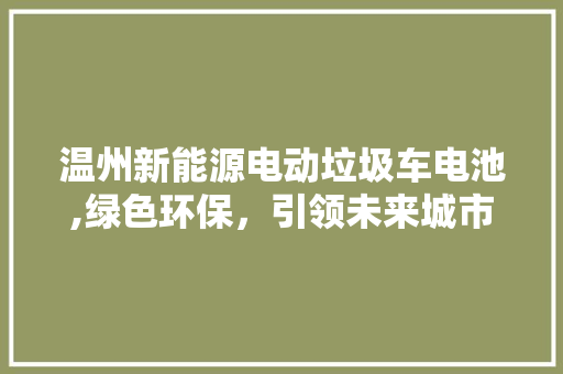 温州新能源电动垃圾车电池,绿色环保，引领未来城市环卫新风尚