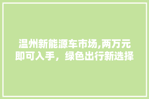 温州新能源车市场,两万元即可入手，绿色出行新选择