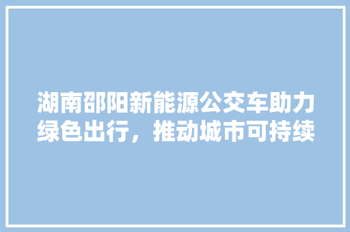 湖南邵阳新能源公交车助力绿色出行，推动城市可持续发展