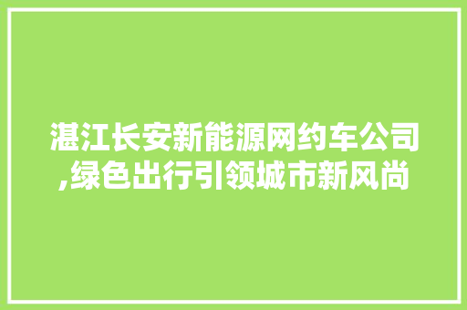 湛江长安新能源网约车公司,绿色出行引领城市新风尚
