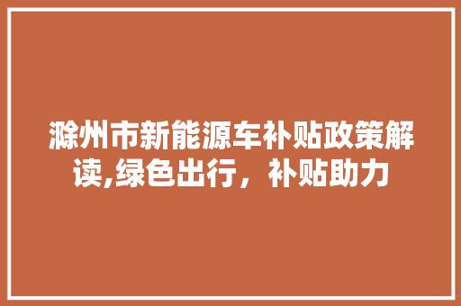 滁州市新能源车补贴政策解读,绿色出行，补贴助力