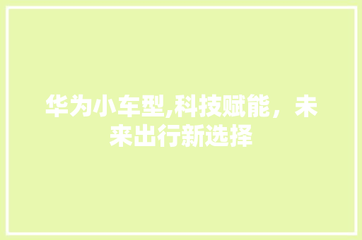 华为小车型,科技赋能，未来出行新选择