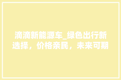 滴滴新能源车_绿色出行新选择，价格亲民，未来可期