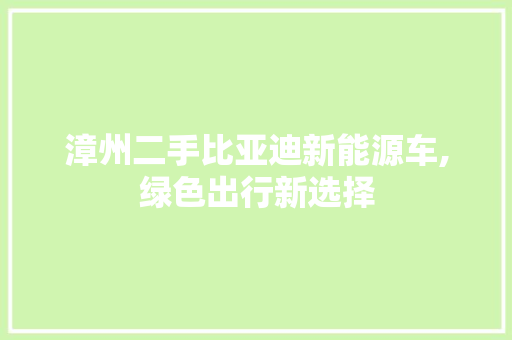 漳州二手比亚迪新能源车,绿色出行新选择