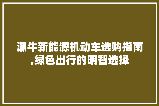 潮牛新能源机动车选购指南,绿色出行的明智选择