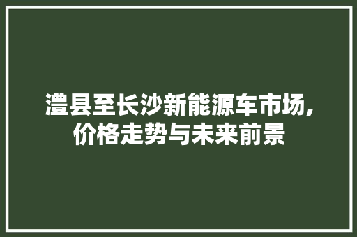 澧县至长沙新能源车市场,价格走势与未来前景