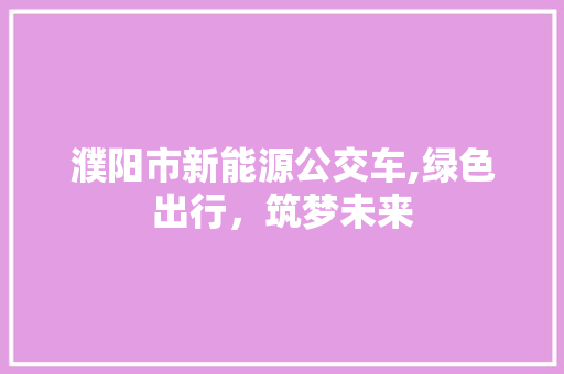 濮阳市新能源公交车,绿色出行，筑梦未来