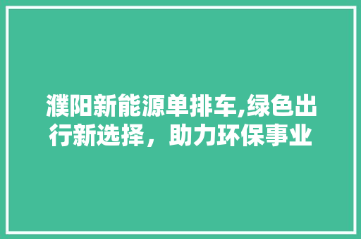 濮阳新能源单排车,绿色出行新选择，助力环保事业