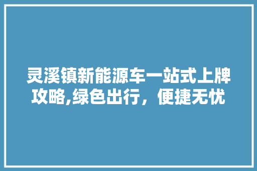 灵溪镇新能源车一站式上牌攻略,绿色出行，便捷无忧