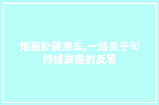 炮轰新能源车,一场关于可持续发展的反思
