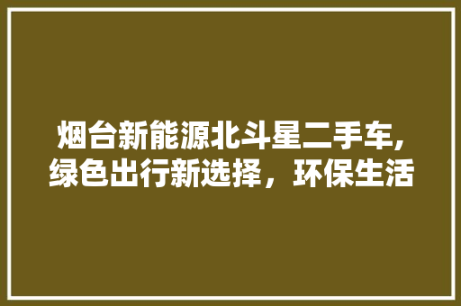 烟台新能源北斗星二手车,绿色出行新选择，环保生活新风尚
