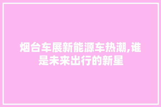 烟台车展新能源车热潮,谁是未来出行的新星