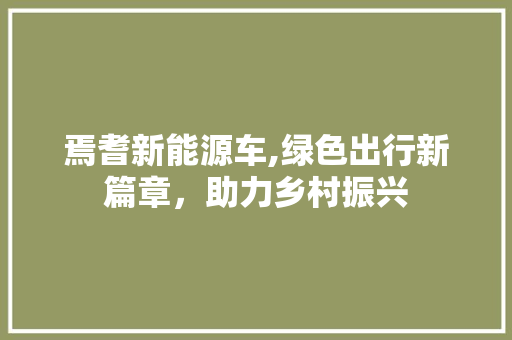 焉耆新能源车,绿色出行新篇章，助力乡村振兴