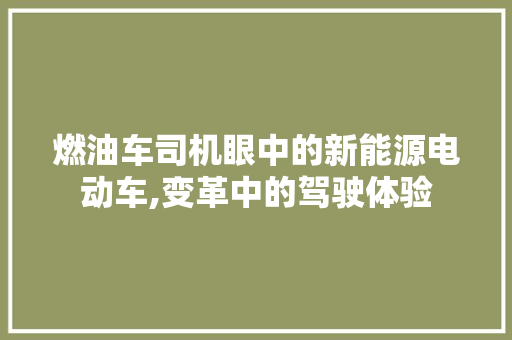 燃油车司机眼中的新能源电动车,变革中的驾驶体验