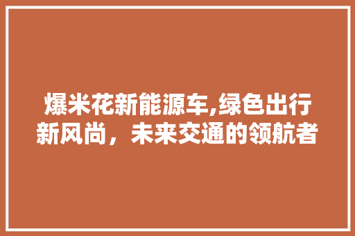 爆米花新能源车,绿色出行新风尚，未来交通的领航者