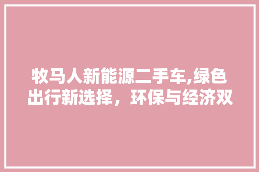 牧马人新能源二手车,绿色出行新选择，环保与经济双赢