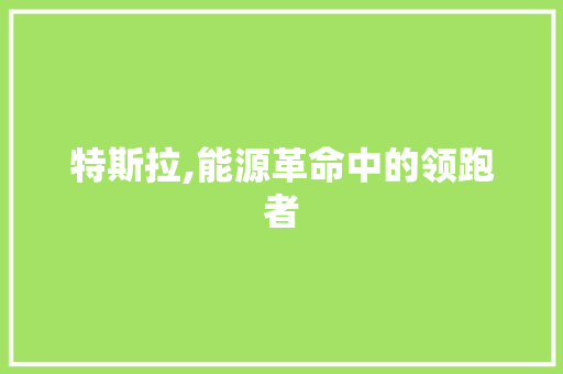 特斯拉,能源革命中的领跑者