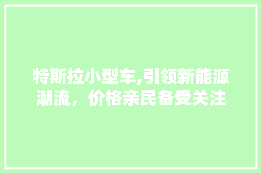 特斯拉小型车,引领新能源潮流，价格亲民备受关注