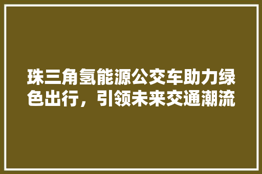 珠三角氢能源公交车助力绿色出行，引领未来交通潮流