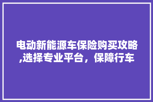 电动新能源车保险购买攻略,选择专业平台，保障行车无忧