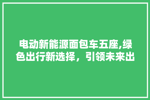 电动新能源面包车五座,绿色出行新选择，引领未来出行潮流