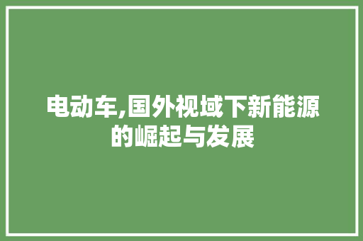 电动车,国外视域下新能源的崛起与发展