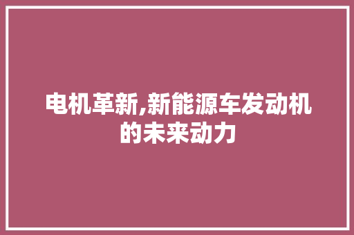 电机革新,新能源车发动机的未来动力