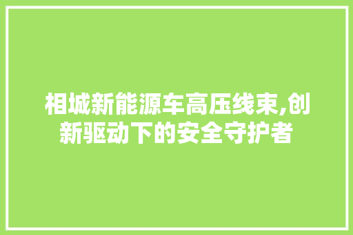 相城新能源车高压线束,创新驱动下的安全守护者