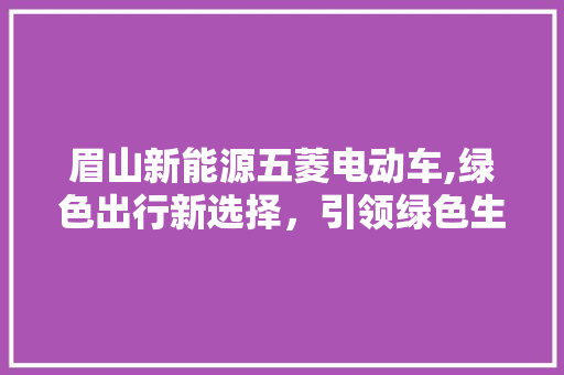 眉山新能源五菱电动车,绿色出行新选择，引领绿色生活新风尚