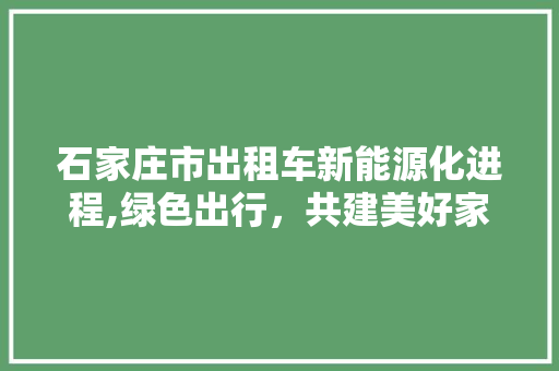 石家庄市出租车新能源化进程,绿色出行，共建美好家园