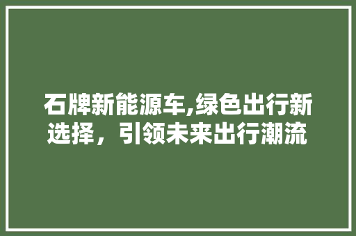 石牌新能源车,绿色出行新选择，引领未来出行潮流