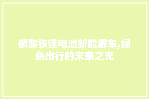 磷酸铁锂电池新能源车,绿色出行的未来之光