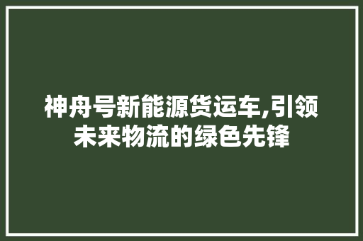 神舟号新能源货运车,引领未来物流的绿色先锋