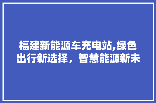 福建新能源车充电站,绿色出行新选择，智慧能源新未来
