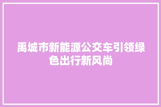 禹城市新能源公交车引领绿色出行新风尚